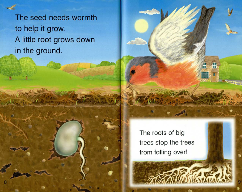 a little root grows down in the ground.